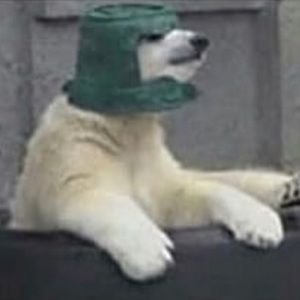 Meet your Posher, Matthew